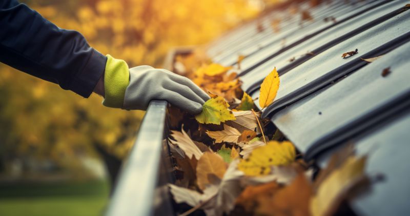 Gutter Covers Maintenance in Fall