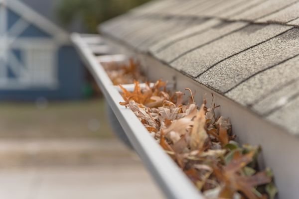 Leaf Barrier Installation in Fairborn